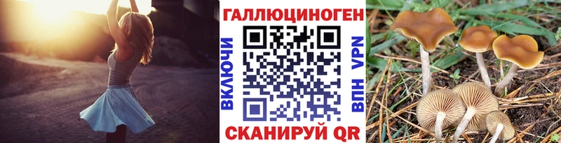 Галлюциногенные грибы мицелий  Владимир 