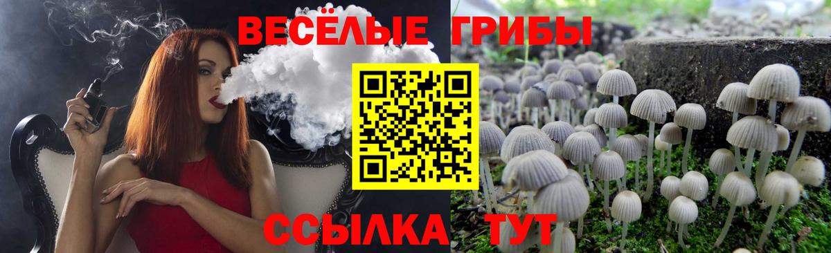 Псилоцибиновые грибы Psilocybine cubensis  Вход с VPN  Псилоцибиновые грибы Psilocybine cubensis  Владимир 